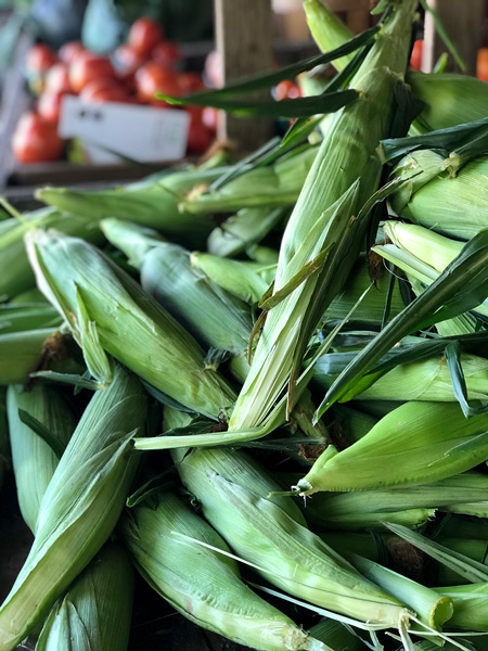Photograph of fresh, market corn, courtesy of Christine Moss.