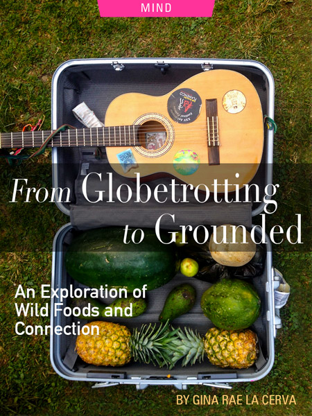 From Globetrotting to Grounded: An Exploration of Wild Foods and Connection By Gina Rae La Cerva. Photograph of a suitcase filled with fruit courtesy of Gina Rae La Cerva