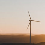 5 Paths to a Career in Sustainability to Speed up the Clean Energy Transition by Sophia Smith. Photograph of wind turbines by Usukhbayar Gankhuyag