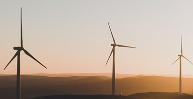 5 Paths to a Career in Sustainability to Speed up the Clean Energy Transition