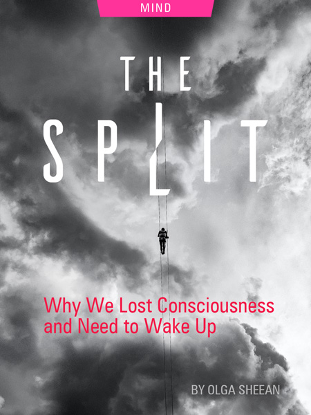 The Split: Why We Lost Consciousness and Need to Wake Up, by Olga Sheean. Photograph of man gliding in clouds by Sergio Souza