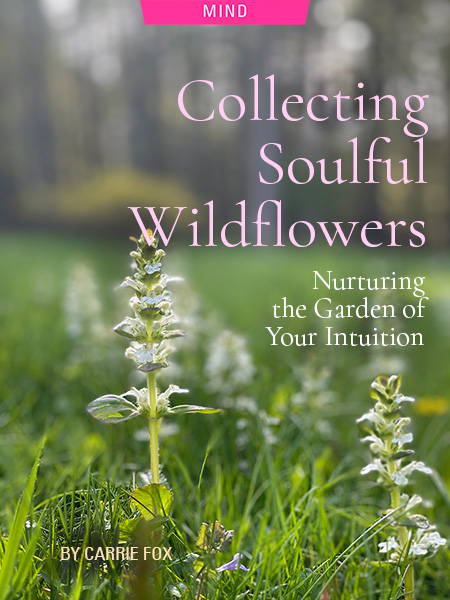 Collecting Soulful Wildflowers: Nurturing the Garden of Your Intuition, by Carrie Fox. Photograph of wildflowers by Kristen Noel.