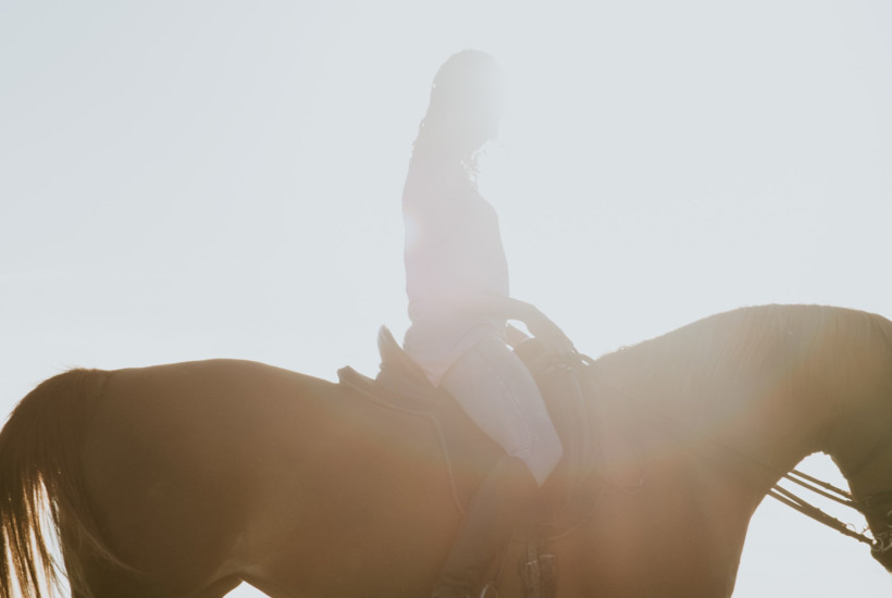 Thrust From Life’s Saddle: How a Horse Guided Me Home