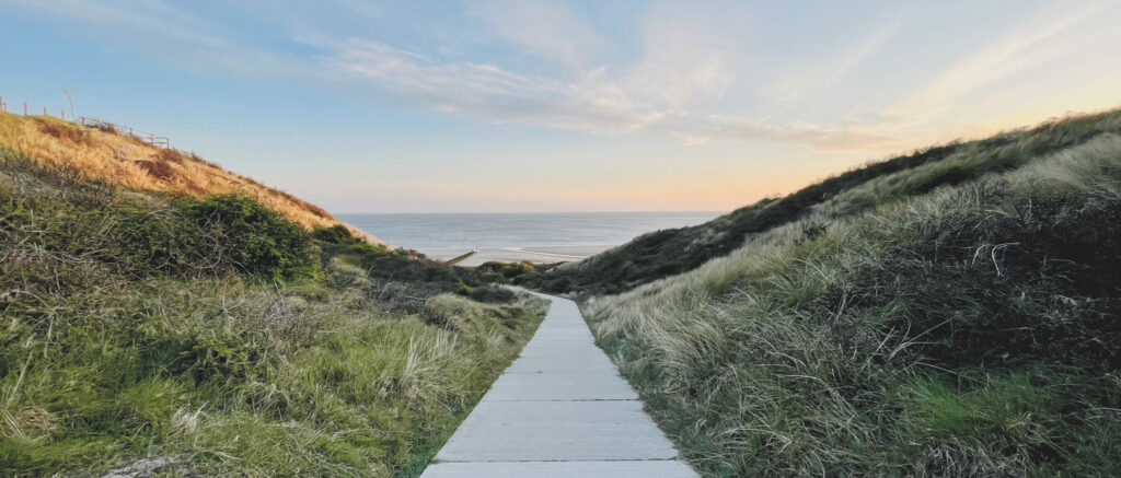 Choosing Your Path Anew Each Day, by Steve Farrell. Photograph of beautiful path by Jurre Houtkamp